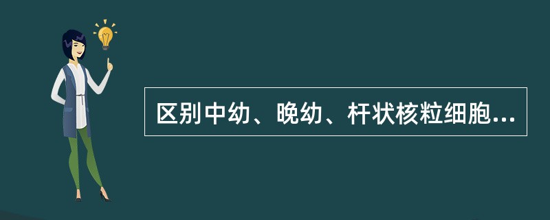 区别中幼、晚幼、杆状核粒细胞时，最重要的标志是