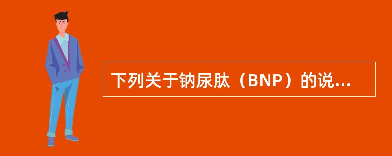 下列关于钠尿肽（BNP）的说法哪项不正确