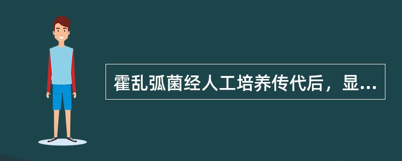 霍乱弧菌经人工培养传代后，显微镜下观察是