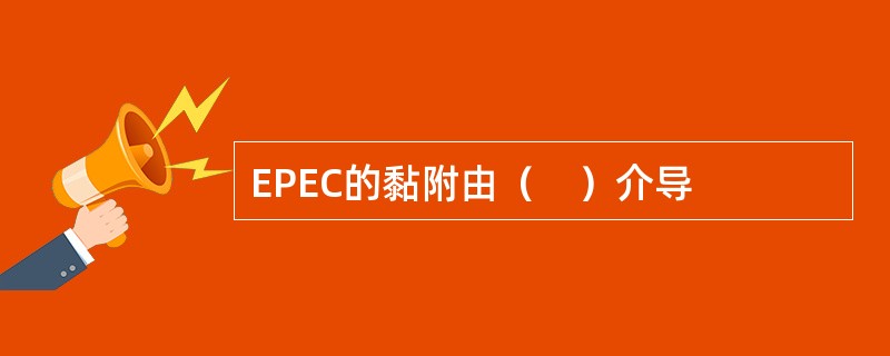 EPEC的黏附由（　）介导