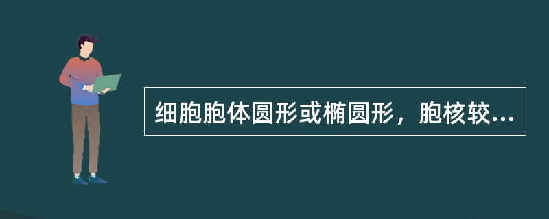 细胞胞体圆形或椭圆形，胞核较圆，偏位，占细胞1／3以下，核染色质浓密成块，常排列成车轮状，无核仁。胞质丰富，嗜碱性，有泡沫感，核周有淡染区，此细胞是