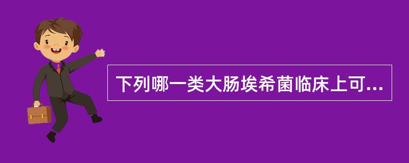 下列哪一类大肠埃希菌临床上可引起类似志贺样腹泻症状