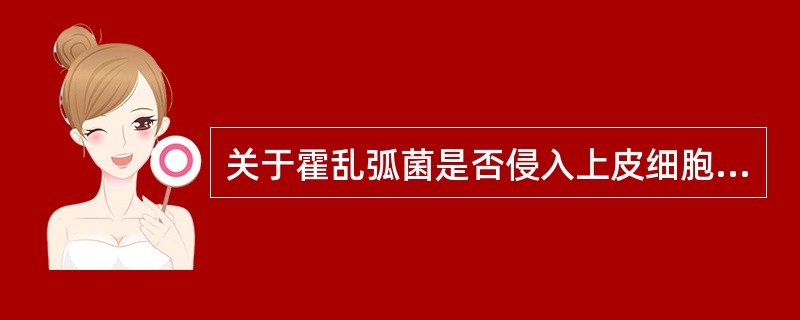 关于霍乱弧菌是否侵入上皮细胞，下列说法正确的是