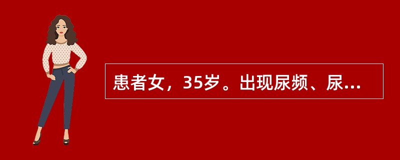 患者女，35岁。出现尿频、尿急、尿痛3天。留晨尿做尿常规检查：尿干化学检查显示白细胞(+++)、红细胞(-)、亚硝酸盐阳性，尿沉渣镜检显示白细胞(+++)、脓细胞(++)、红细胞(+)。泌尿系统B超检