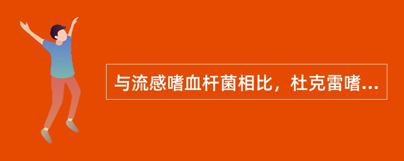 与流感嗜血杆菌相比，杜克雷嗜血杆菌培养时具有的特征是