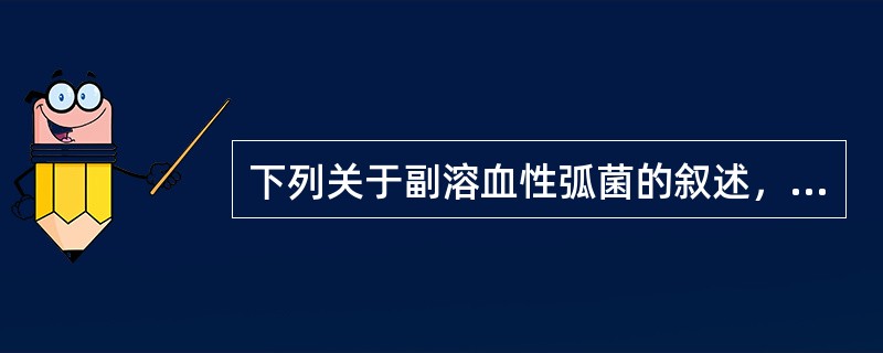 下列关于副溶血性弧菌的叙述，错误的是