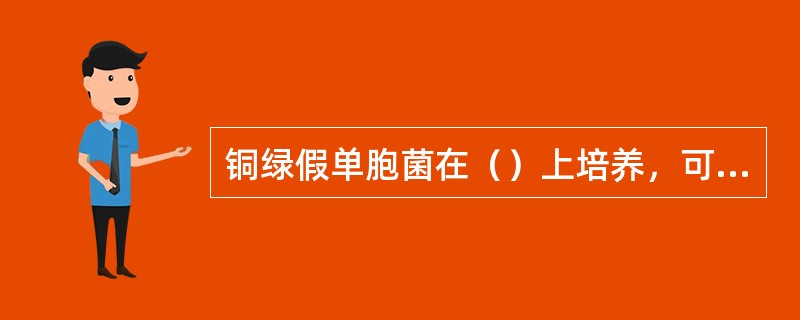 铜绿假单胞菌在（）上培养，可形成扁平、湿润、有特殊气味的灰绿色或蓝绿色菌落