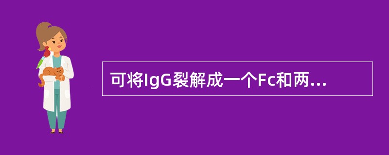 可将IgG裂解成一个Fc和两个Fab片段的酶是 可将IgG裂解成一个Fc和两个Fab片段的酶是