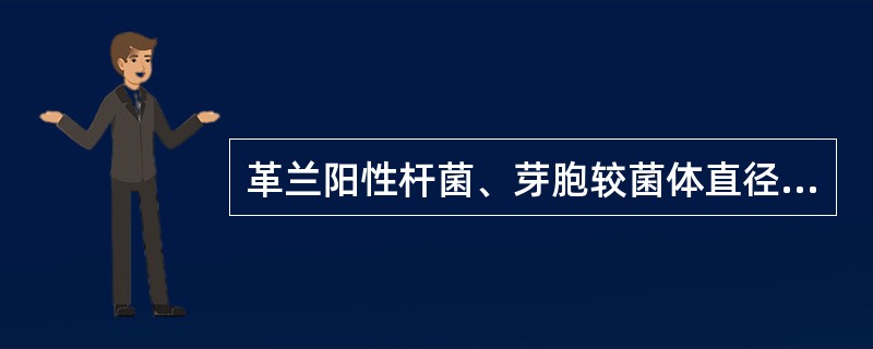 革兰阳性杆菌、芽胞较菌体直径大，椭圆，位于菌体次极端的是