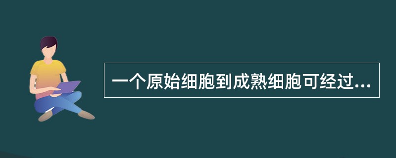 一个原始细胞到成熟细胞可经过的分裂次数为