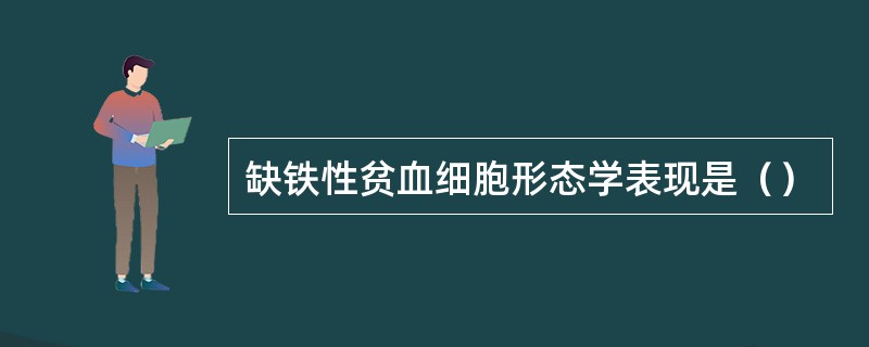 缺铁性贫血细胞形态学表现是（）