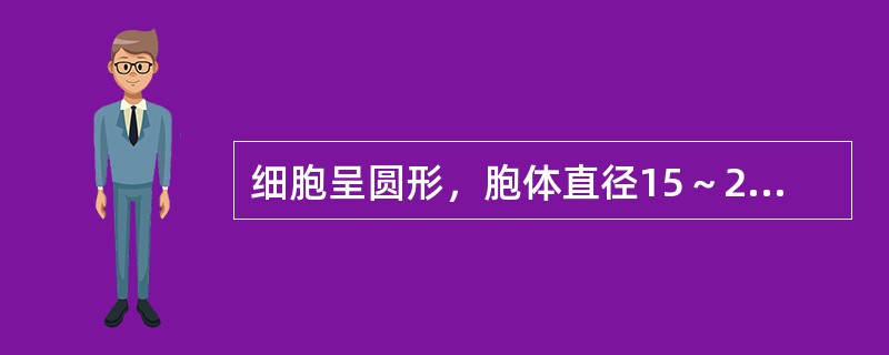 细胞呈圆形，胞体直径15～20μm胞核较大，圆形，核染色质纤细，呈疏松网状，核仁1～3个；胞质丰富，里灰蓝色，不透明，边缘不规则。该细胞最可能是