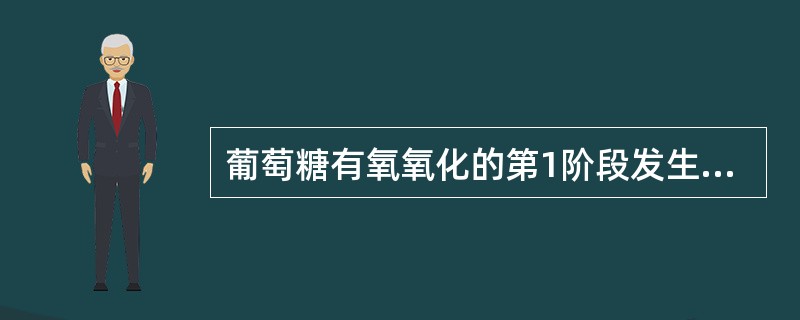 葡萄糖有氧氧化的第1阶段发生部位是