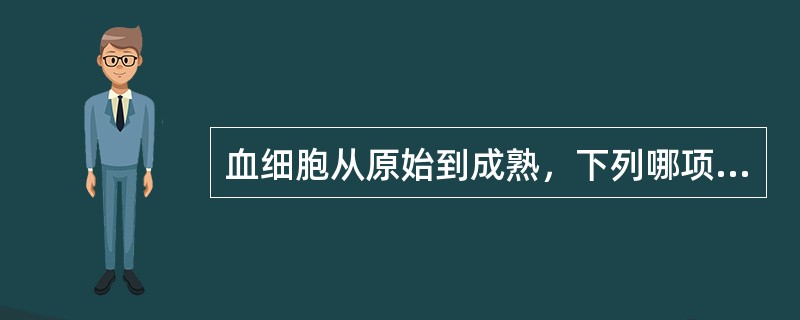 血细胞从原始到成熟，下列哪项不符合血细胞发育的一般规律