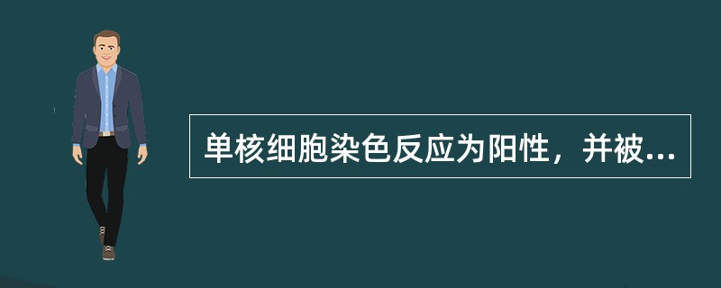 单核细胞染色反应为阳性，并被氟化钠抑制的是（　　）。