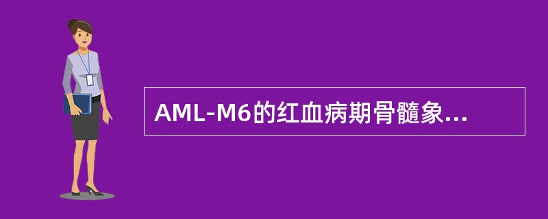 AML-M6的红血病期骨髓象出现"红血病裂孔"现象是指