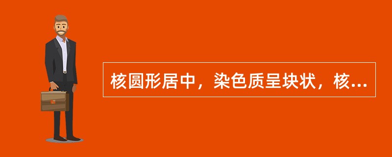 核圆形居中，染色质呈块状，核仁消失，胞浆多色性