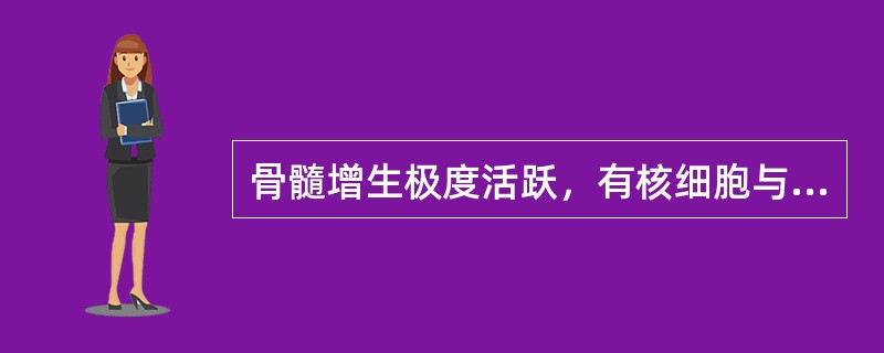 骨髓增生极度活跃，有核细胞与成熟红细胞的比例为（　　）。