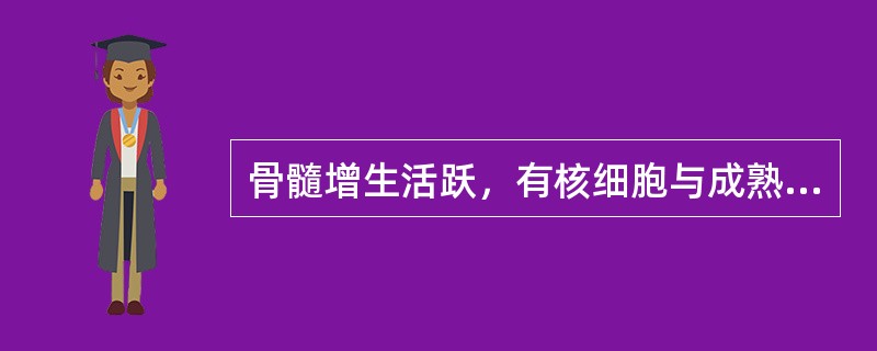 骨髓增生活跃，有核细胞与成熟红细胞的比例约为（　　）。