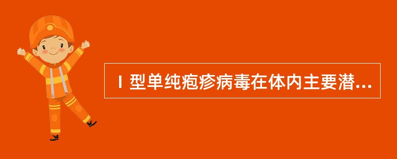 Ⅰ型单纯疱疹病毒在体内主要潜伏于（　　）。