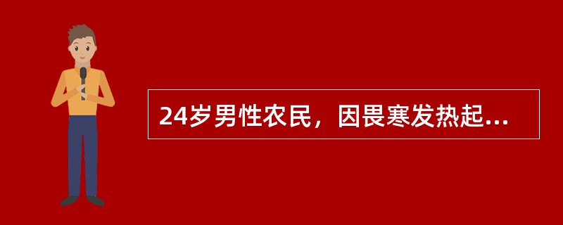 24岁男性农民，因畏寒发热起病，伴全身肌肉酸痛，头痛4天于8月10日入院，入院1天后发现皮肤有黄染，尿量减少，尿色深黄，查体：结膜充血，巩膜及皮肤中度黄染，皮肤有出血点，浅表淋巴结肿大，肝肋下0cm，