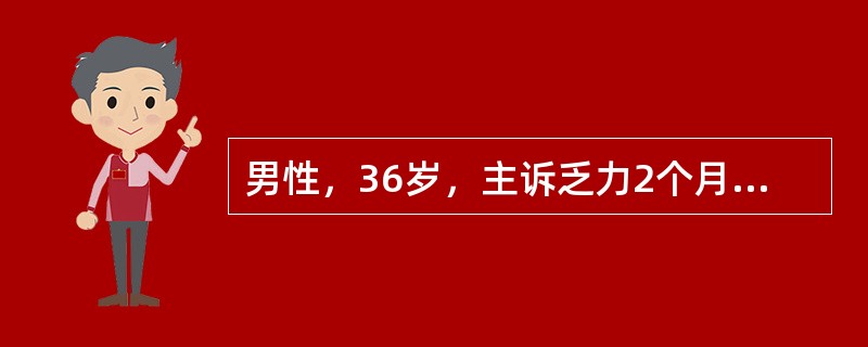 男性，36岁，主诉乏力2个月，伴左上腹饱胀感。体检：浅表淋巴结未及，肝未及，脾肋下5cm。红细胞3.6×1012/L，血红蛋白90g/L，白细胞170×109/L血小板300×109/L。分类：原粒0