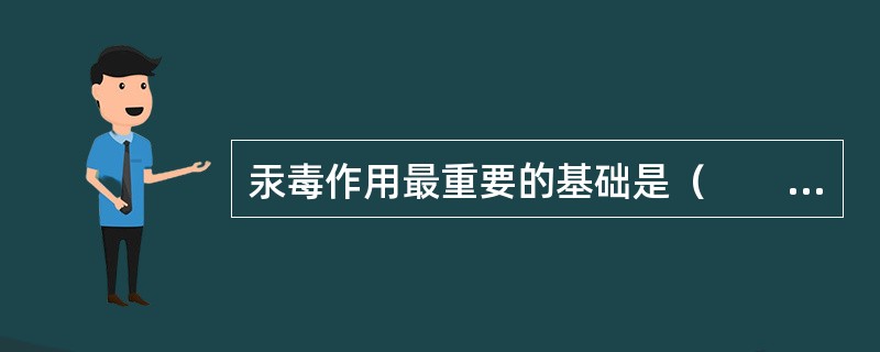汞毒作用最重要的基础是（　　）。