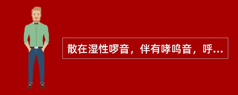 散在湿性啰音，伴有哮鸣音，呼气相延长()