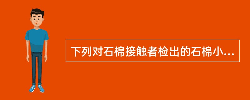 下列对石棉接触者检出的石棉小体特点或意义中，不正确的是（　　）。