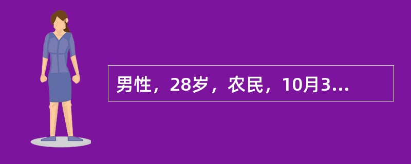 男性，28岁，农民，10月30日高热、头痛、腰痛、呕吐、腹泻，连续发热4天，鼻出血1次。用扑热息痛后热退，但出现头晕、尿少、排尿痛。血象：白细胞数18×109/L，中性粒细胞60%，形态不正常的单核细