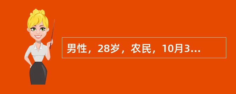 男性，28岁，农民，10月30日高热、头痛、腰痛、呕吐、腹泻，连续发热4天，鼻出血1次。用扑热息痛后热退，但出现头晕、尿少、排尿痛。血象：白细胞数18×109/L，中性粒细胞60%，形态不正常的单核细