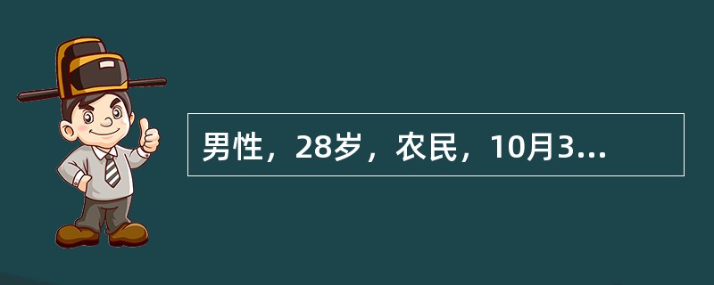 男性，28岁，农民，10月30日高热、头痛、腰痛、呕吐、腹泻，连续发热4天，鼻出血1次。用扑热息痛后热退，但出现头晕、尿少、排尿痛。血象：白细胞数18×109/L，中性粒细胞60%，形态不正常的单核细