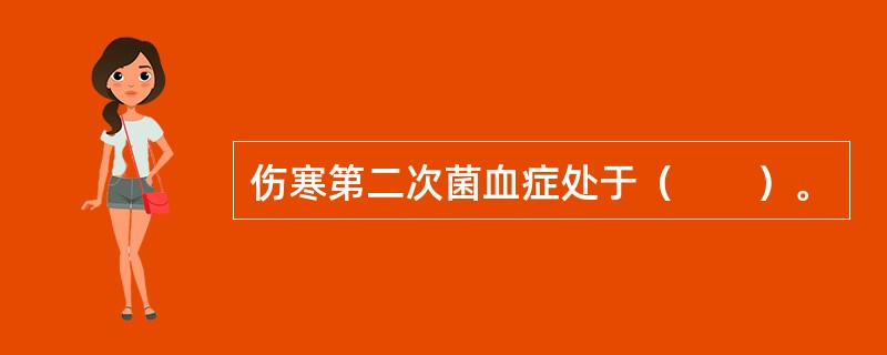 伤寒第二次菌血症处于（　　）。