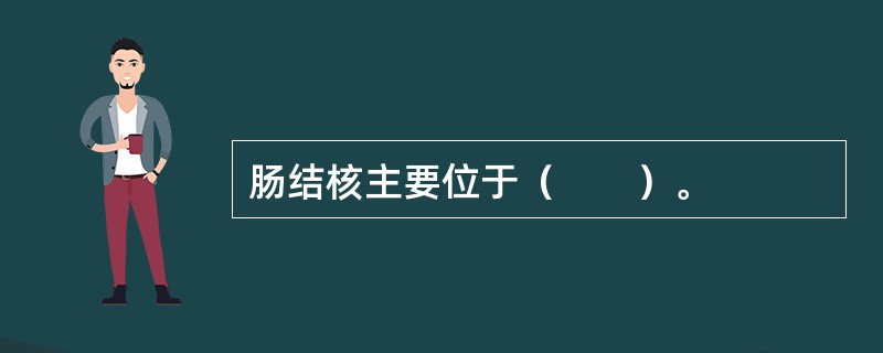 肠结核主要位于（　　）。