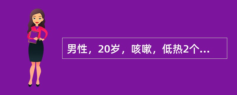 男性，20岁，咳嗽，低热2个月，咯血1周，体检右上肺可闻湿啰音，X线胸片示右上肺后段炎性阴影，其中可见透亮区，血沉30mm/h，最可能的诊断是（　　）。