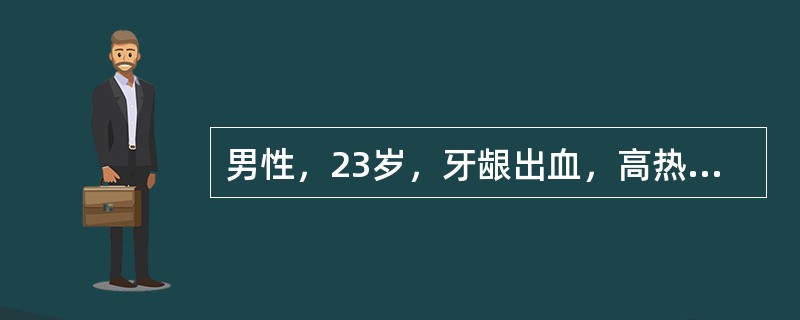 男性，23岁，牙龈出血，高热2周，查体：胸骨压痛，肝脾不大，下肢皮肤散在瘀点，WBC96×109/L，Hb110g/L，PLT24×109/L。最可能的诊断是