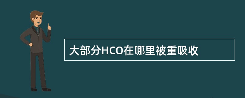 大部分HCO在哪里被重吸收