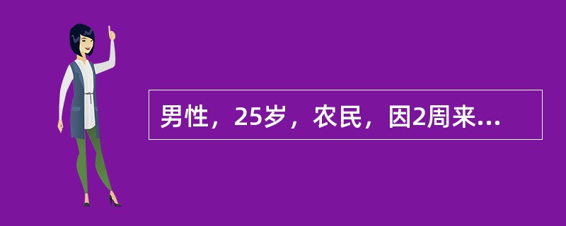 男性，25岁，农民，因2周来发热，伴乏力、纳差、腹胀及听力下降入院。体检：T39.8℃，P84次/分，神志清，表情淡漠，躯干有少数充血性皮疹，腹胀，脾侧位可及。血WBC3.5×109/L。引起此病最可