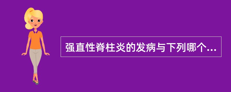 强直性脊柱炎的发病与下列哪个遗传基因密切相关？（　　）