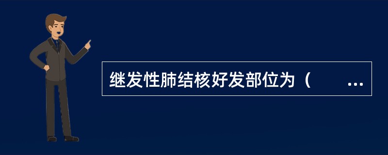 继发性肺结核好发部位为（　　）。