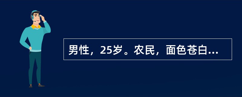 男性，25岁。农民，面色苍白，疲乏无力1年。血象RBC2.0×1012／L，Hb50g／L，WBC7.6×109／L，中性粒细胞0.50，淋巴细胞0.26，嗜酸性粒细胞0.14，SF10μg／L，血片