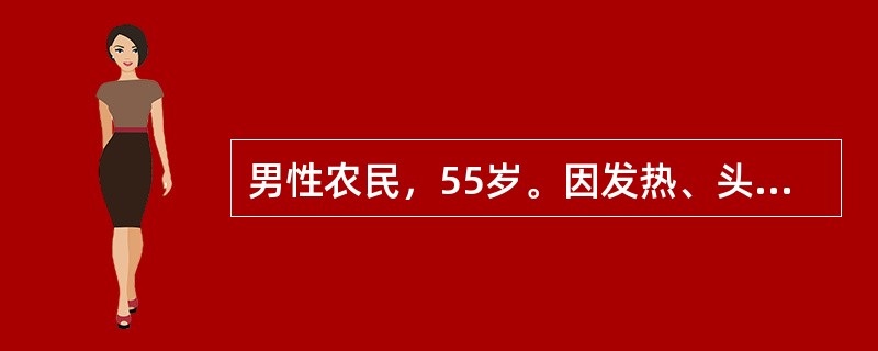 男性农民，55岁。因发热、头晕、鼻出血、皮肤瘀点伴关节酸痛2周来门诊。化验：Hb70g/L，WBC35×109/L，血小板20×109/L，外周血涂片有幼稚细胞。患者最主要治疗原则是（　　）。