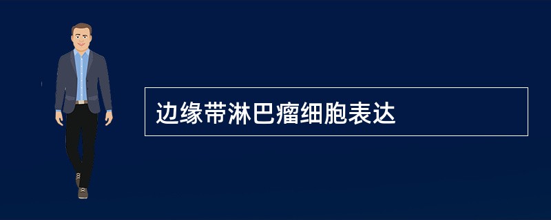 边缘带淋巴瘤细胞表达