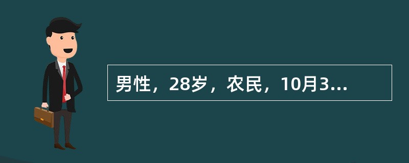 男性，28岁，农民，10月30日高热、头痛、腰痛、呕吐、腹泻，连续发热4天，鼻出血1次。用扑热息痛后热退，但出现头晕、尿少、排尿痛。血象：白细胞数18×109/L，中性粒细胞0.60，形态不正常的单核