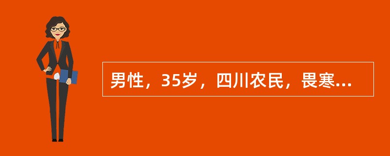 男性，35岁，四川农民，畏寒，发热一周，伴乏力，全身肌肉酸痛，8月6日入院。查体：体温38.5～40℃，球结膜充血，颈抵抗，腓肠肌压痛，血常规WBC12×109/L，尿蛋白(+)。该病人最可能的诊断是