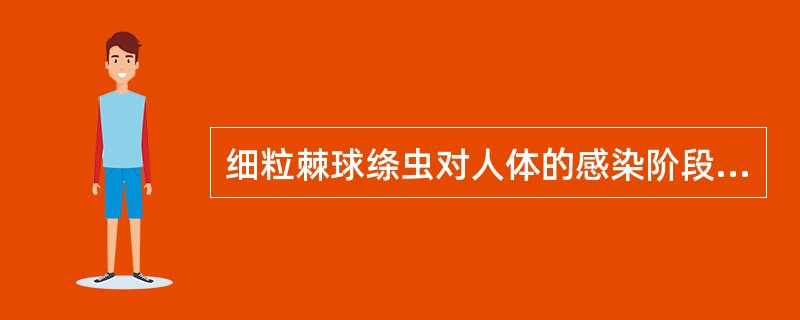 细粒棘球绦虫对人体的感染阶段是（　　）。