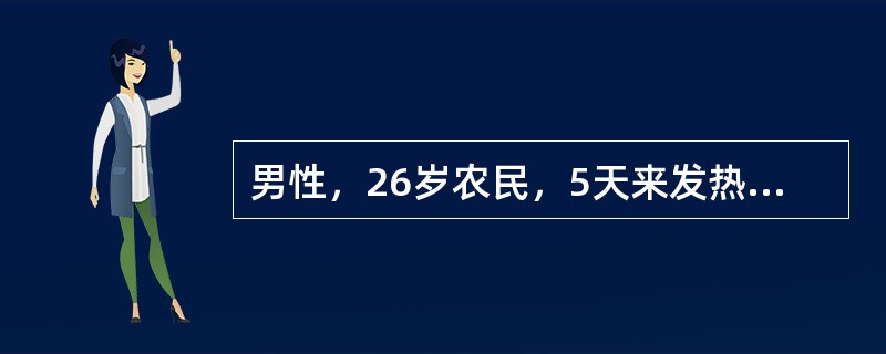 男性，26岁农民，5天来发热，畏寒，1天来头痛，呕吐2次于8月15入院，T39.6℃，球结膜充血，颈有抵抗，腹股沟淋巴体肿大，有压痛，腓肠肌有压痛，尿蛋白（++）。诊断应考虑