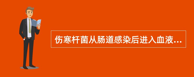 伤寒杆菌从肠道感染后进入血液通过（　　）。