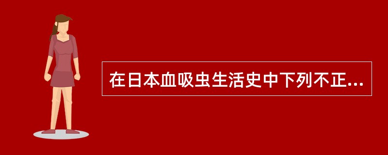 在日本血吸虫生活史中下列不正确的是（　　）。