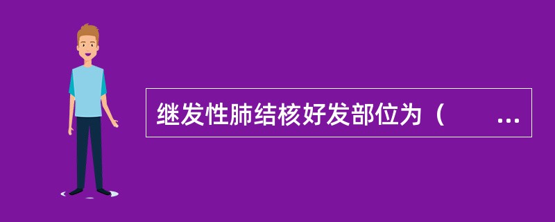 继发性肺结核好发部位为（　　）。